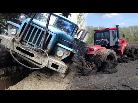 Видео: Застрявшие грузовики и трактора в грязи.