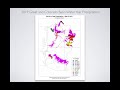 Utah Hydrologic Update for May, 2019