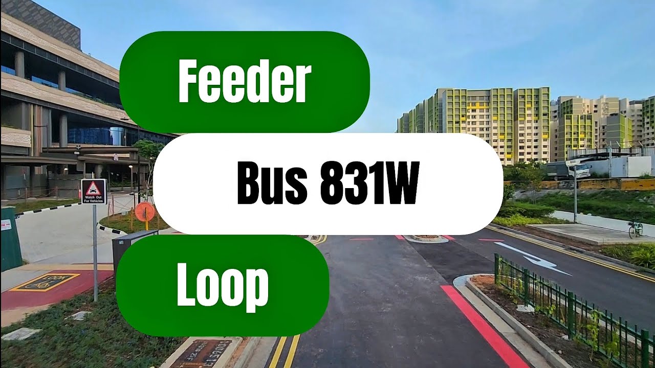 Feeder bus 831W (loop)