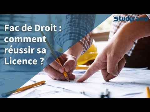 Fac de Droit : comment réussir sa Licence ?