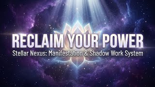 How to Track Your Vibration & Life Alignment Digitally (Stellar Nexus) For Beginners