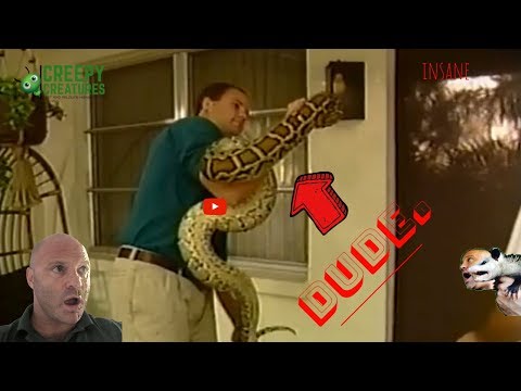 Massive 12' Burmese Python Found Florida On Front Porch!