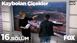 Kaybolan Çiçekler 16. Bölüm
