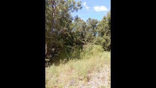 Lots And Land for sale - 3688 Ballard Road, Tallahassee, FL 32305