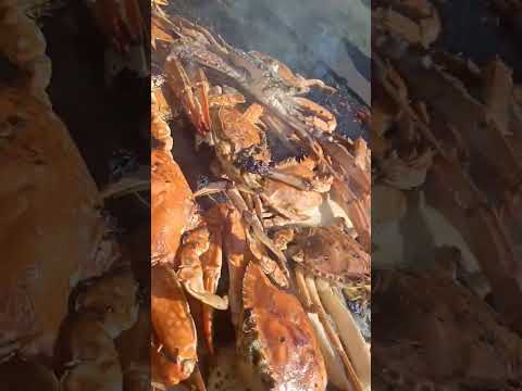 كابوريا نتي كبيره مليانه بطاريخ ومتظبط في اسماك عباد الرحمن للفسفور العالي كل يوم شغل