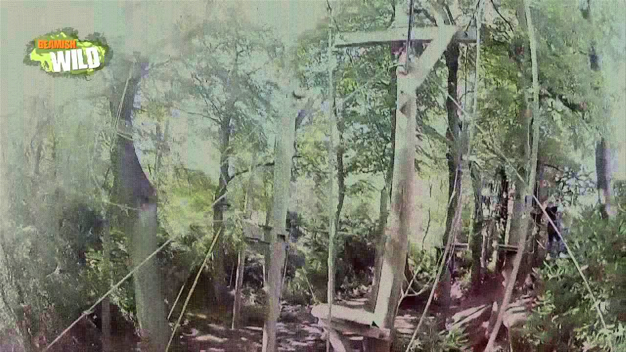 Beamish Wild Treetop Adventure Course Durham Youtube