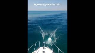 GUARACHA RETRO LA OLA QUE CRECE