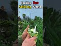 Ranking Best Satisfying Sounds