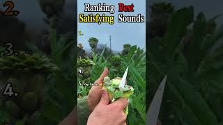 Ranking Best Satisfying Sounds