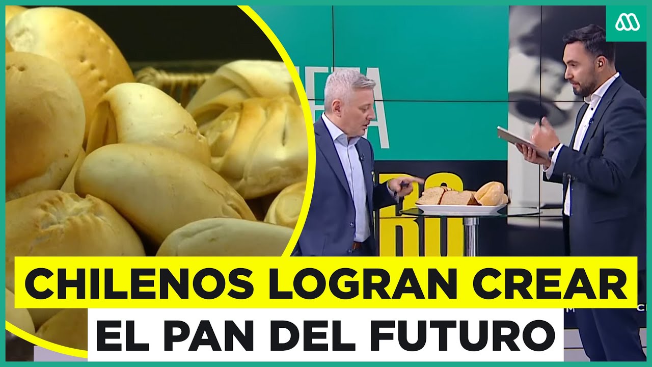 El pan del futuro se crea en Chile: Logran editar genéticamente el trigo