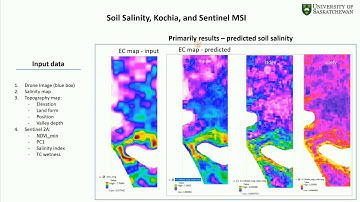 Remote Sensing of Kochia and Soil Salinity