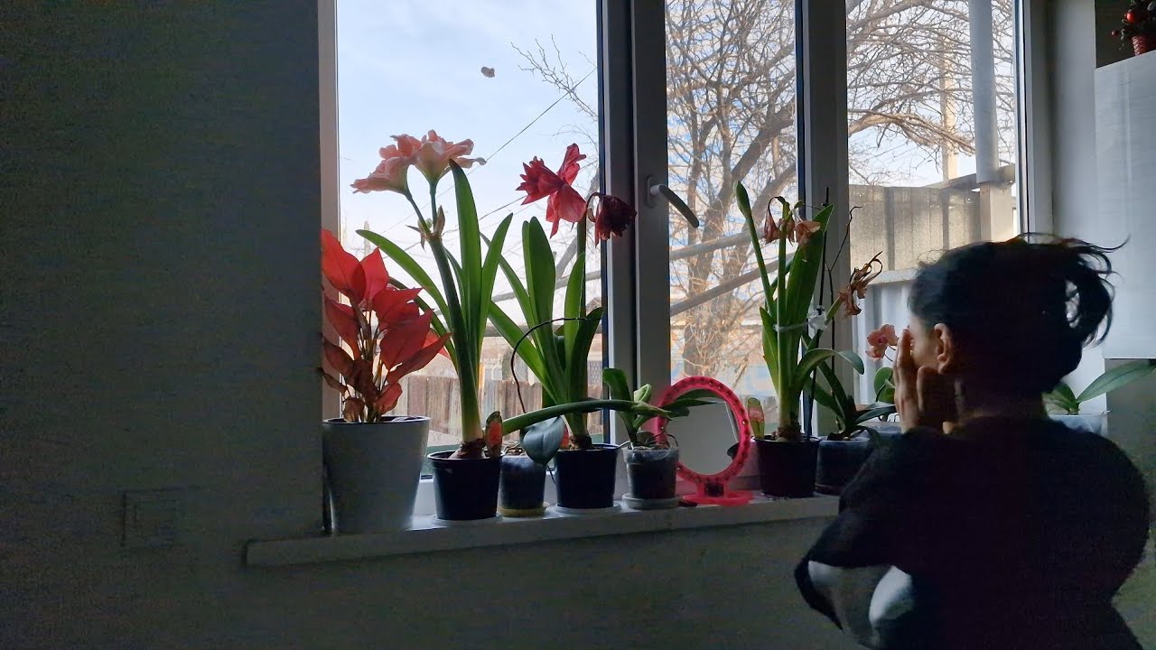 BAŞLATDIM  8  GÜNƏ BİTİRDİM🙈 Nergizin günlük hayatı // VLOG 