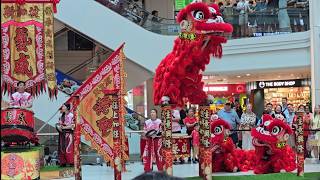 Lion & Dragon Dance | Plaza Singapura 23/02/2026 #liondance #yiwei