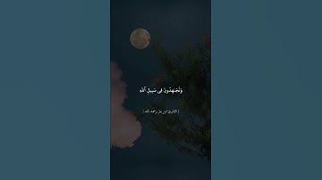 تلاوة الشيخ ابن باز رحمه الله