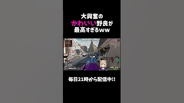 大興奮のかわいい野良が最高すぎるww【APEX】#shorts
