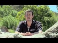 Victoria's Wild Trout Fishery Management Program
