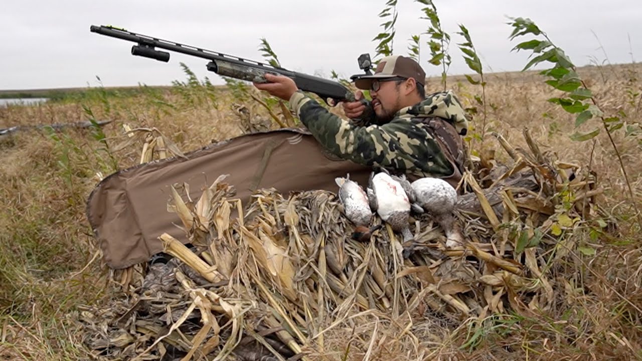 A・B・フロスト、「DUCK SHOOTING FROM A BLIND」 DUCK HUNTING SHOOTING ROWING DUCK BOATS STARTING FOR THE
