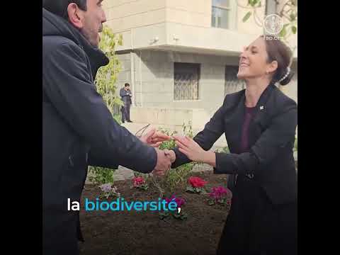 Le Qu&eacute;bec c&eacute;l&egrave;bre le 80ᵉ anniversaire de la FAO avec un cadeau symbolique : des iris versicolor