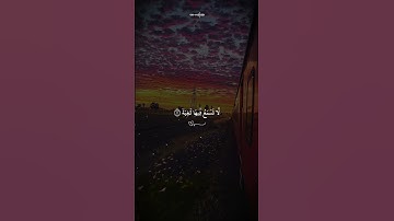 ﴿فِي جَنَّةٍ عَالِيَةٍ لَا تَسْمَعُ فِيهَا لَاغِيَةً﴾ | من سورة الغاشية #عبدالرحمن_مسعد #قرآن #تدبر