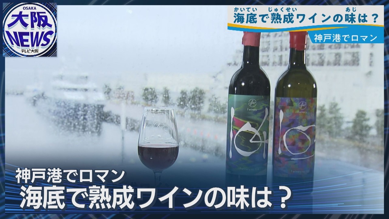 海流熟成ワイン WADATSUMI A year spent sleeping at the bottom of the sea [Wine nurtured