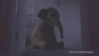 Soak Tv Advertising Campaign - Elephant In The Room