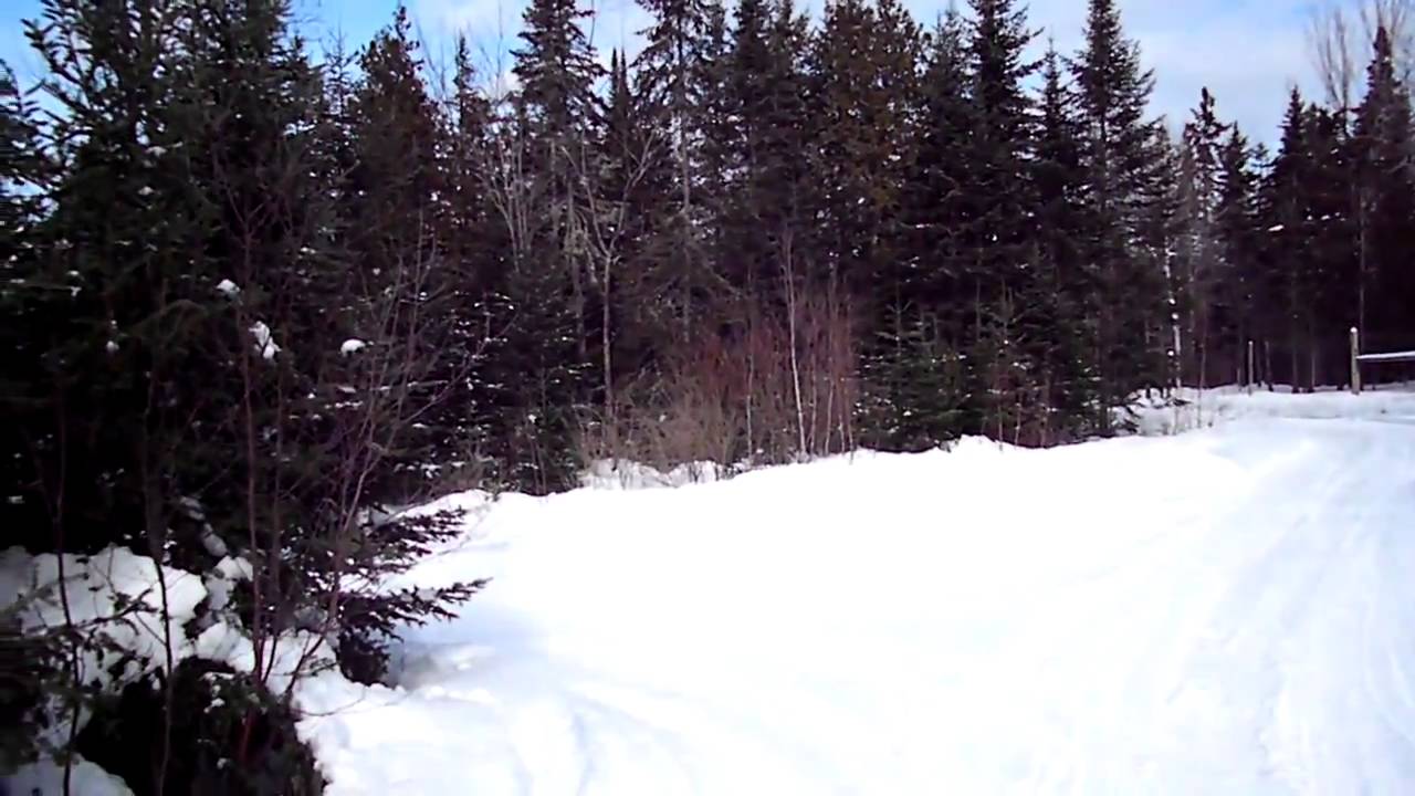 The Road to Hindsite Hunt Preserve....Newport Maine YouTube