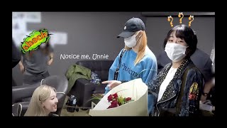 Twice Chaeyoung Getting Jealous Ft Momo And Nayeon