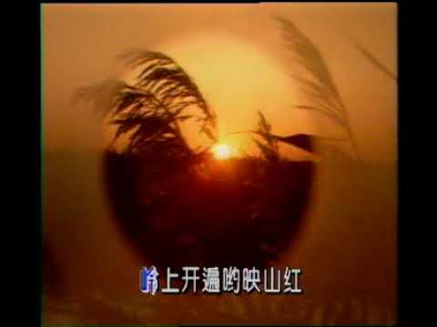 映山红 中国共产党革命歌曲红歌 CCP Chinese Communist Revolutionary Songs