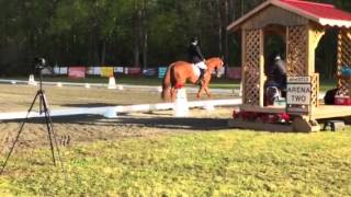 Jimmie Echo 2nd Level Test 1