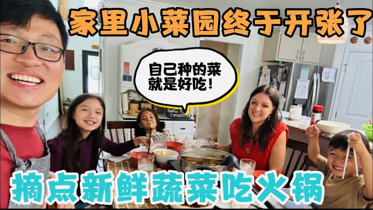 家里的小菜园终于开张了，摘点新鲜蔬菜吃火锅，回答网友问题：美国媳妇是否欢迎婆婆将来来美养老？媳妇的答案让我很感动！