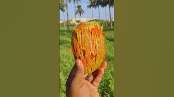 Spicy Raw Mango 🥭