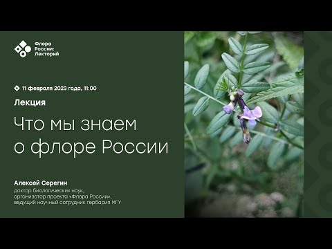 Что мы знаем о флоре России? (Алексей Серегин)