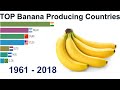 Top banana producing countries || Largest banana producing countries 1961-2018 ||Banana export