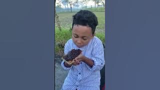 Gara Gara Makan Di Pantai