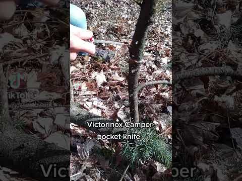 Victorinox Camper test