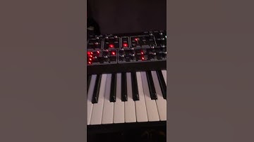 Soundscape w/ Prophet Rev2, Boomerang and Superior Drummer 3 #ableton #uad #interstellar #prophet