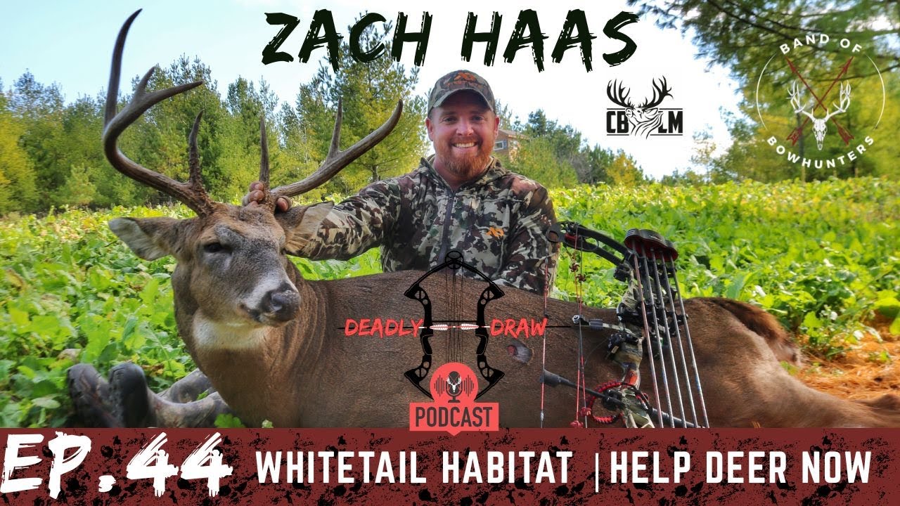 Whitetail Habitat Management | Deadly Draw Podcast EP. 44 | Zach Haas | Post season Improvements