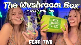 LATE NIGHT SESH + THE MUSHROOM BOX!
