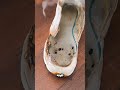 يابني الكلام ده مفيهوش هزار