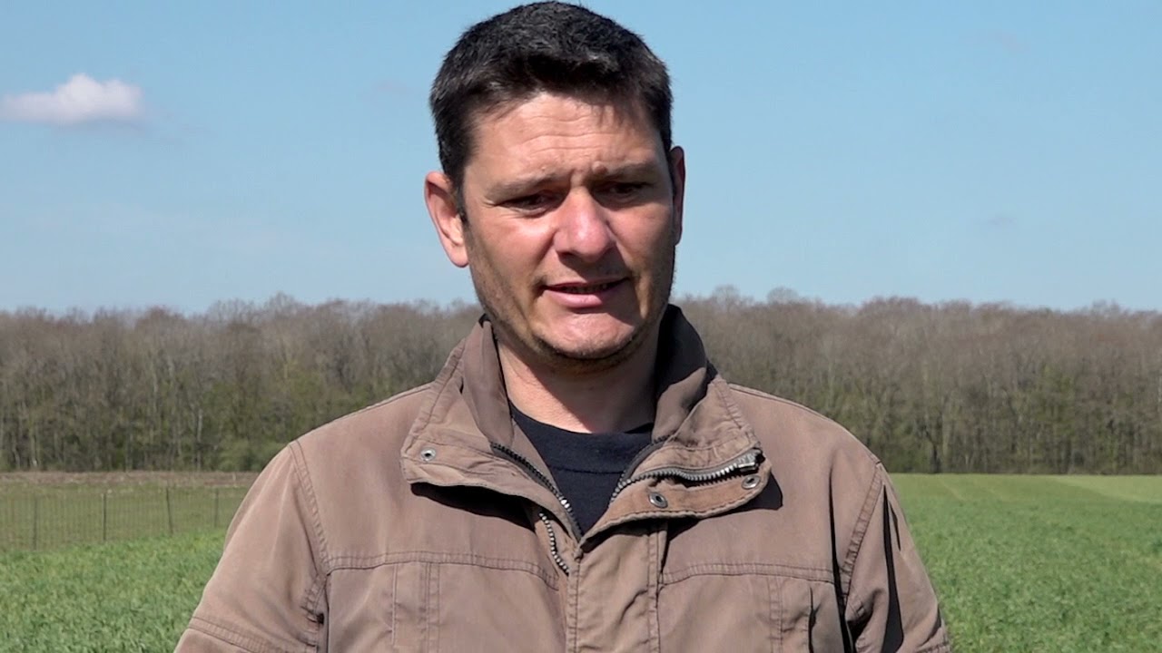 Pourquoi - Comment : accueillir des ovins sur mes parcelles céréalières ? à la Ferme Lafouasse