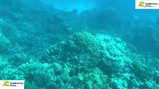 Ausflug mit dem Glasbodenboot Soma bay - Safaga - Royal Sea Scope submarine Tour