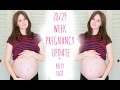 28/29 WEEK PREGNANCY UPDATE + BELLY SHOT!