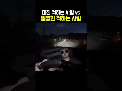 미친 척하는 사람 vs 멀쩡한 척하는 사람 thumbnail