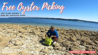 Free Oyster Picking July 31, 2022