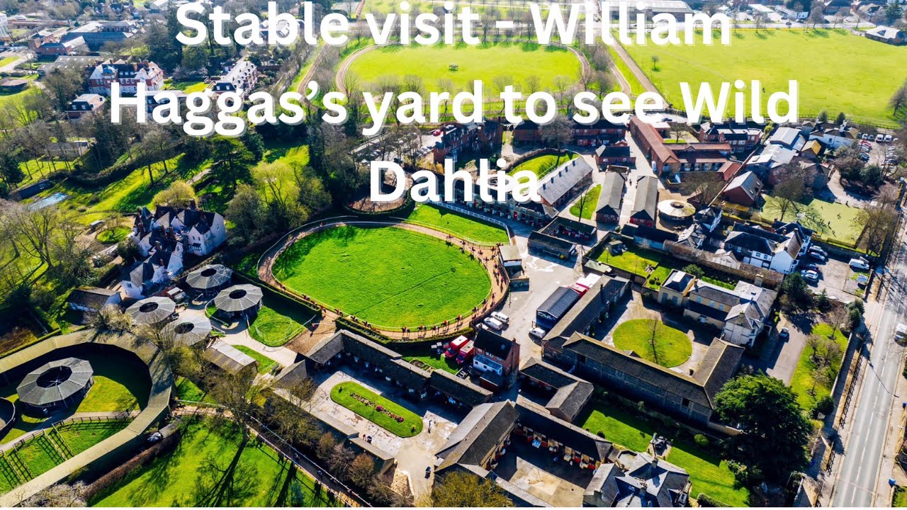 Stable Visit to William Haggas's yard to see Wild Dahlia