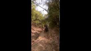 WP 20140308 031