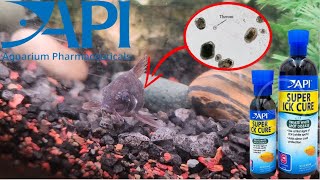 How To Treat Fish With Ick | API Super Ick Cure White Spot Disease Fish Medication