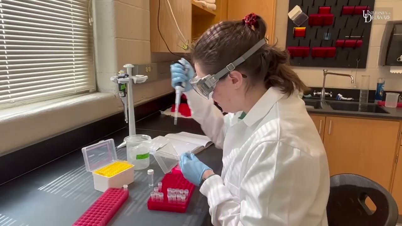 University of Delaware tick research aims to understand host specificity of Lyme disease