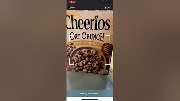How to Log Food and Exercise on the Fitbit App
