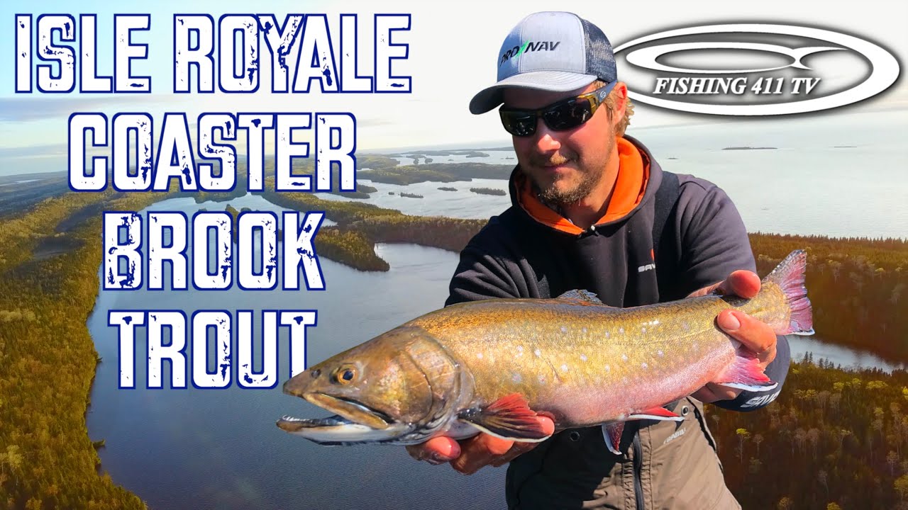 Coaster Brook Trout Info YouTube
